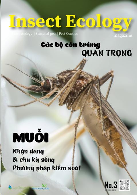 TẠP CHÍ INSECT ECOLOGY | No.3 | Đặc điểm, Chu kỳ sống của Muỗi