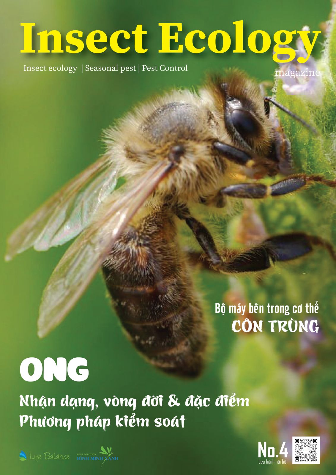 TẠP CHÍ INSECT ECOLOGY | No.4 | Nhận dạng, vòng đời, đặc điểm và Phương pháp kiểm soát ong