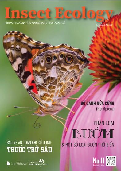 TẠP CHÍ INSECT ECOLOGY | No.11 | Phân loại bướm & một số loài bướm phổ biến