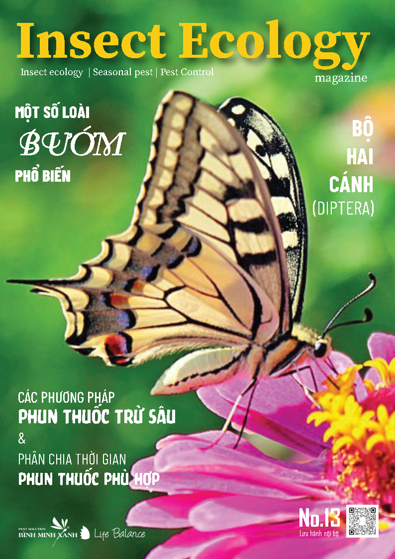 TẠP CHÍ INSECT ECOLOGY | No.13 | Các phương pháp phun thuốc trừ sâu phổ biến hiện nay