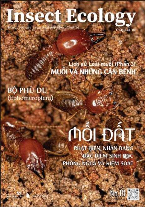 TẠP CHÍ INSECT ECOLOGY | No.18 | Phát hiện, nhận dạng, đặc điểm sinh học và kiểm soát Mối đất