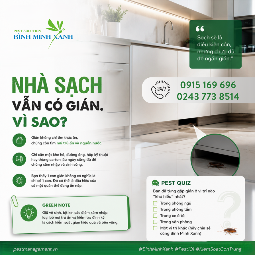 [𝐏𝐄𝐒𝐓 𝟏𝟎𝟏] | NHÀ SẠCH VẪN CÓ GIÁN. VÌ SAO?